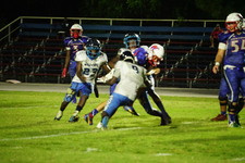 Enlarge photo 430