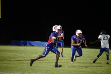 Enlarge photo 495
