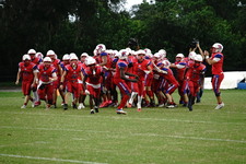 Enlarge photo 16