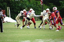 Enlarge photo 78