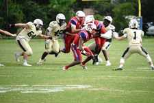 Enlarge photo 83