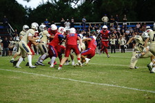 Enlarge photo 89