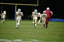 Enlarge photo 115