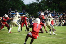 Enlarge photo 136