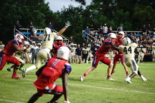 Enlarge photo 137