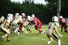 Enlarge photo 140