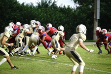 Enlarge photo 142