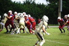 Enlarge photo 141