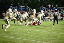 Enlarge photo 145