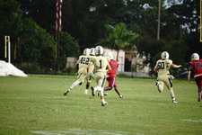 Enlarge photo 146
