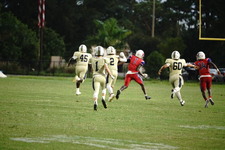 Enlarge photo 147