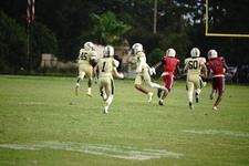Enlarge photo 148