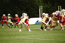 Enlarge photo 152