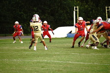Enlarge photo 155