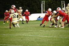 Enlarge photo 154