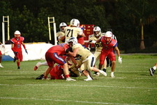 Enlarge photo 157