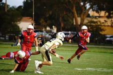 Enlarge photo 165