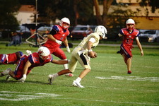 Enlarge photo 167