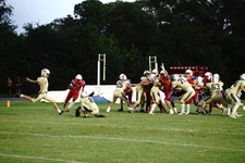 Enlarge photo 169
