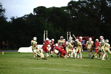 Enlarge photo 171