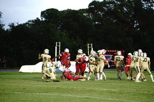 Enlarge photo 172