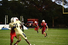 Enlarge photo 173