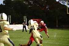 Enlarge photo 176