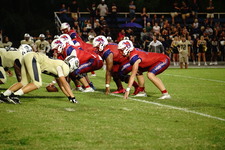 Enlarge photo 199