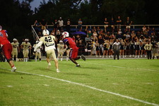 Enlarge photo 212