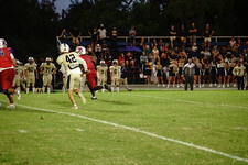 Enlarge photo 213