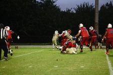Enlarge photo 214