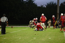 Enlarge photo 217