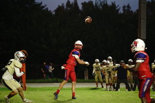 Enlarge photo 225