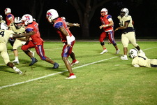Enlarge photo 230