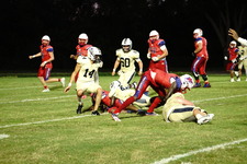 Enlarge photo 231