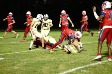 Enlarge photo 233
