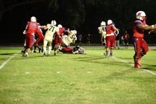 Enlarge photo 244