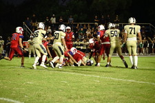 Enlarge photo 299