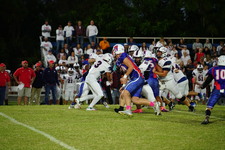 Enlarge photo 53