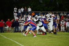 Enlarge photo 55