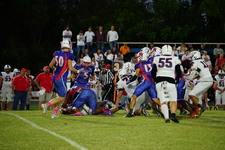 Enlarge photo 57