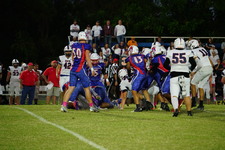 Enlarge photo 58