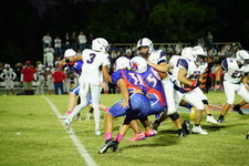 Enlarge photo 93