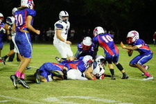 Enlarge photo 98