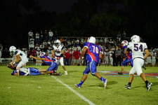 Enlarge photo 102
