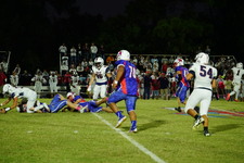 Enlarge photo 103