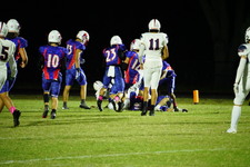 Enlarge photo 153