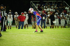 Enlarge photo 157