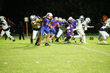 Enlarge photo 161