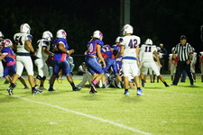 Enlarge photo 163